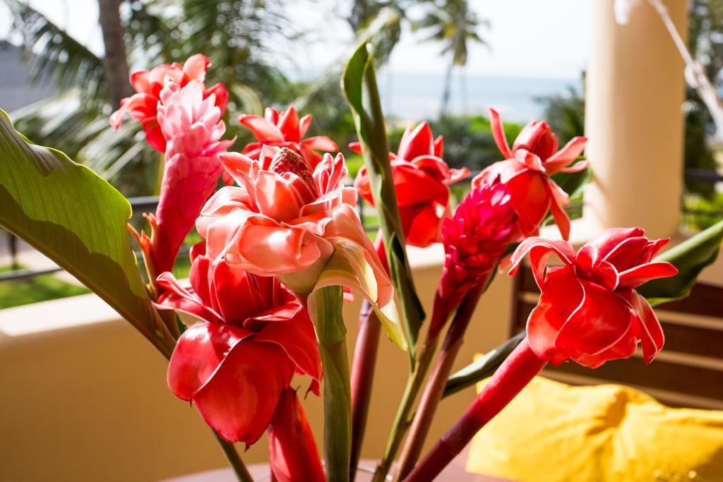 Hotel Alisei Las Terrenas Ngoại thất bức ảnh