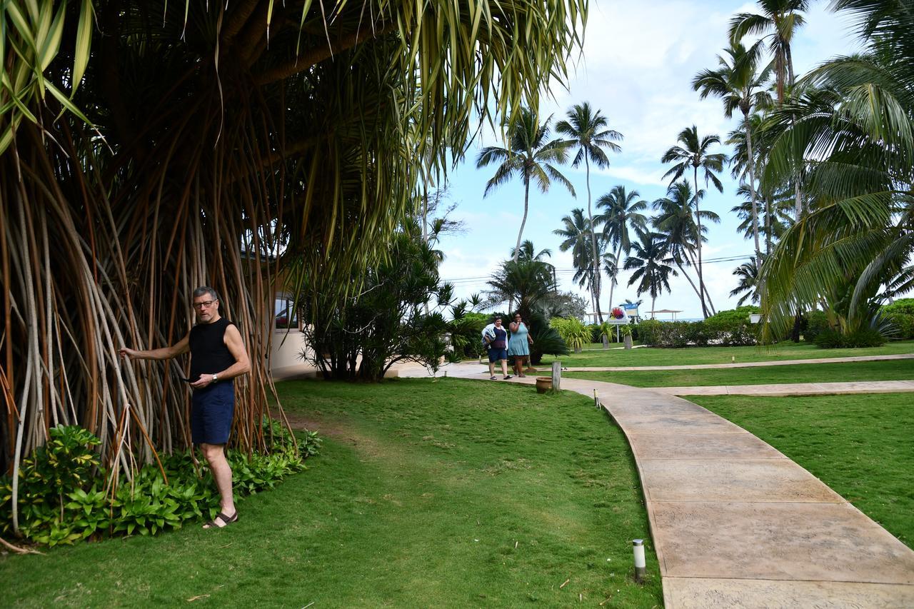 Hotel Alisei Las Terrenas Ngoại thất bức ảnh